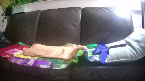 Otto online show from 10-26-25, 04:29