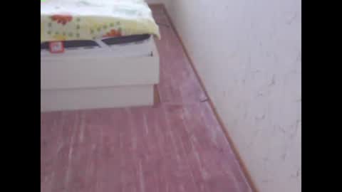 sv27 online show from 02-13-25, 11:17