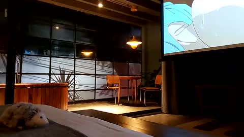 svenseries online show from 02-19-25, 04:44