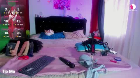 sweet_allison04 online show from 01-08-26, 12:51