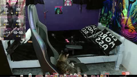 Snapshot of sweet_kitty66 chatting on 09-20-25, 11:28 elizabeth grey online show from 09-20-25, 11:28