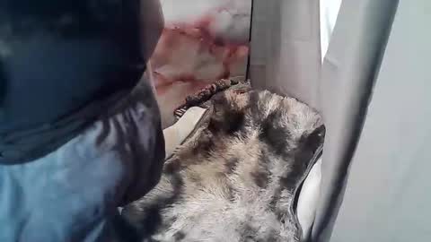 Snapshot of sweet_ruby1994 chatting on 11-19-25, 02:55 RUBY online show from 11-19-25, 02:55