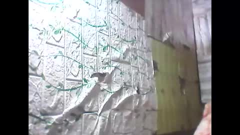sweetava08 online show from 05-19-26, 12:27