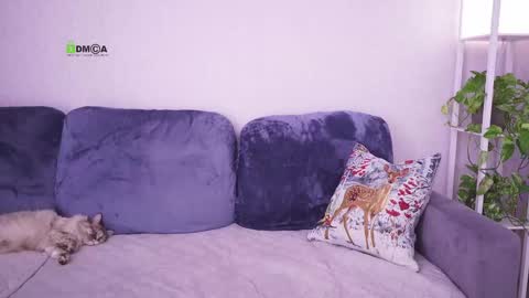 Vicktorious online show from 02-24-25, 08:17