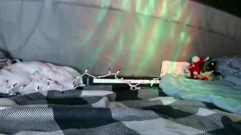 April online show from 01-12-26, 09:03