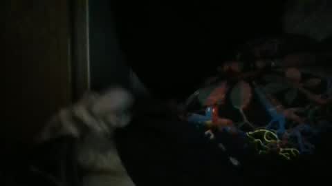 Snapshot of sweetpussylicks chatting on 12-29-24, 08:55 sweetpussylicks online show from 12-29-24, 08:55