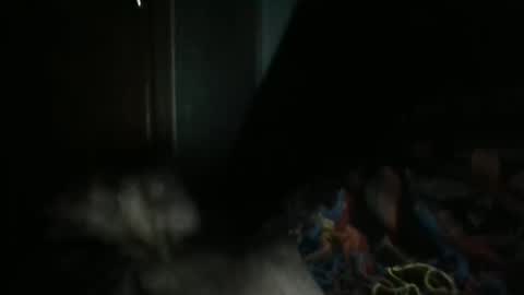 Snapshot of sweetpussylicks chatting on 02-07-25, 07:29 sweetpussylicks online show from 02-07-25, 07:29