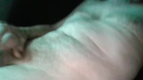 Snapshot of sweetpussylicks chatting on 02-17-25, 03:04 sweetpussylicks online show from 02-17-25, 03:04