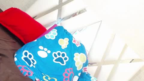 Snapshot of sweetsultrysiren chatting on 01-23-25, 06:35 sweetsultrysiren online show from 01-23-25, 06:35