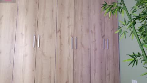    online show from 01-25-25, 04:35