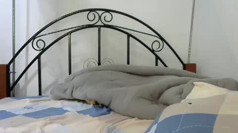 sweetvalariy online show from 01-24-25, 11:59