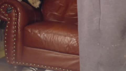 The DickGod online show from 03-09-25, 04:05