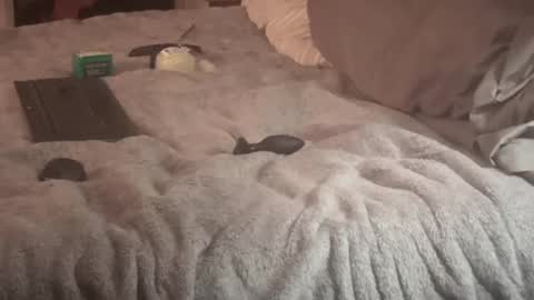 Snapshot of sxymn123 chatting on 09-14-25, 09:30 SissyDenver online show from 09-14-25, 09:30