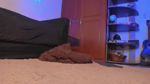 Snapshot of syd_onnfire chatting on 12-18-24, 02:32 Syd online show from 12-18-24, 02:32