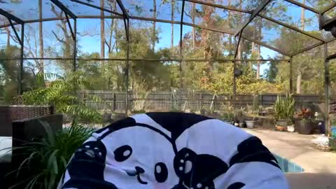 Jennah online show from 02-01-25, 08:05