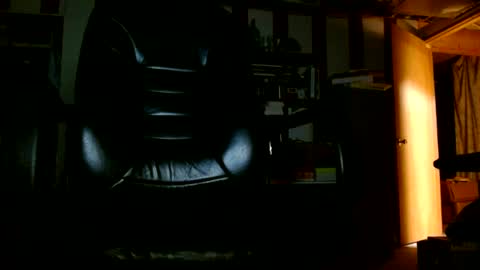 syse3 online show from 06-27-26, 04:56