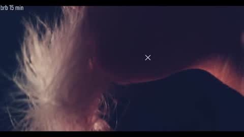 TAANNI online show from 09-18-25, 10:34