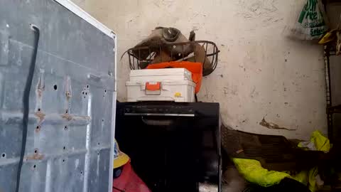 tadfn online show from 02-27-26, 07:47