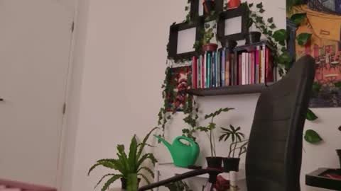 Tali Majid online show from 01-06-26, 05:33