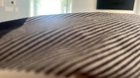 Snapshot of talk2me818 chatting on 01-02-25, 03:08 talk2me818 online show from 01-02-25, 03:08