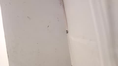 tall6feet7inch online show from 12-18-25, 07:36