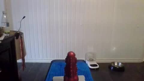 tallman_007 online show from 11-21-25, 05:55