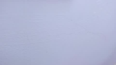 Tamara online show from 02-09-25, 09:47