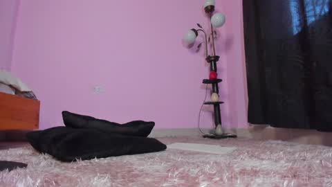 TAMARA  online show from 01-23-25, 03:22