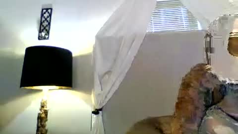 Snapshot of tammygold chatting on 06-23-26, 07:23 Tammygold online show from 06-23-26, 07:23