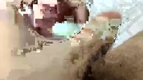 tarek088 online show from 04-30-26, 11:09