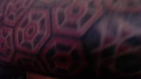 tatted420stoner online show from 10-05-25, 03:27