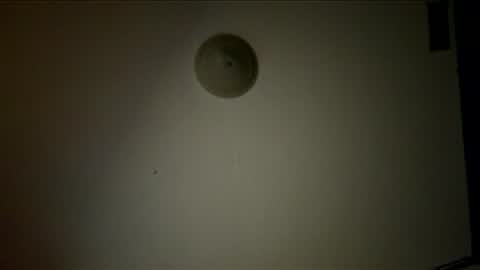 Snapshot of tattoosnsmoke1111 chatting on 12-03-25, 08:34 tattoosnsmoke1111 online show from 12-03-25, 08:34