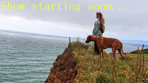 Snapshot of tatum__kahlo chatting on 02-02-25, 11:21 TATUM ALL MY LINKS online show from 02-02-25, 11:21