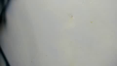 taz_box online show from 06-21-26, 11:51