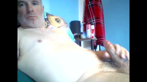 Snapshot of tazo78 chatting on 11-09-25, 12:58 tazo78 online show from 11-09-25, 12:58