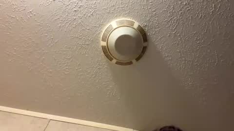 Lilbeebs online show from 10-27-25, 10:58