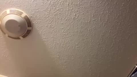 Lilbeebs online show from 03-26-26, 04:45