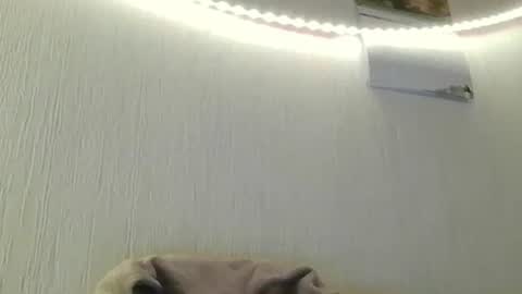 Peter online show from 07-08-26, 08:46