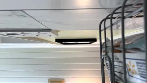 Twizzler online show from 10-16-25, 01:39