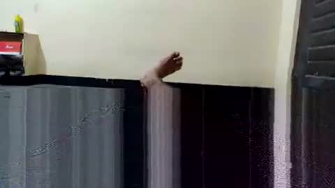 telugu_dick_hyd online show from 11-04-25, 10:53