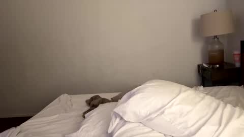 Snapshot of tennman6086 chatting on 02-04-25, 02:43 Tennman online show from 02-04-25, 02:43