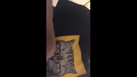 Call me Jason online show from 12-17-25, 12:27