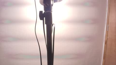 Terra Elowen online show from 02-25-26, 11:31