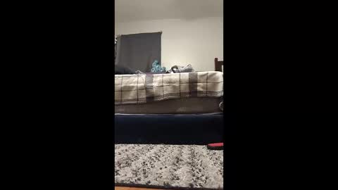 teteretw online show from 01-18-26, 12:03