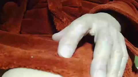 tetuo2 online show from 10-14-25, 04:13