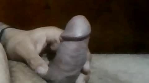 texasbigdaddy63 online show from 09-19-25, 10:43