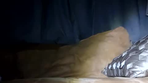 MauiMinded808 online show from 01-29-25, 07:46