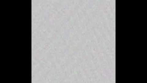 Snapshot of texpig chatting on 09-26-25, 12:09 TexPig online show from 09-26-25, 12:09