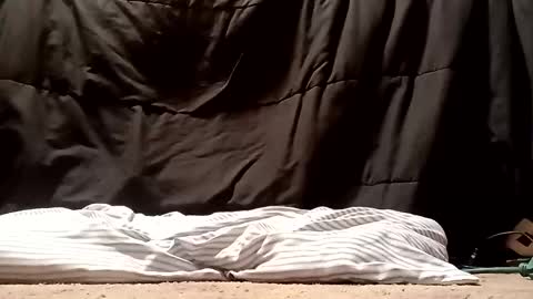 Snapshot of thatb1 chatting on 09-28-25, 05:13 thatb1 online show from 09-28-25, 05:13