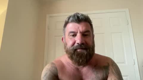 Snapshot of thatguybearded chatting on 02-09-25, 03:56 ThatGuyBearded online show from 02-09-25, 03:56